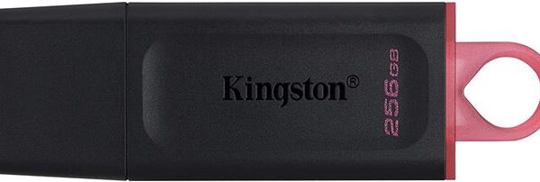 MEM UFD 256GB DTX KIN