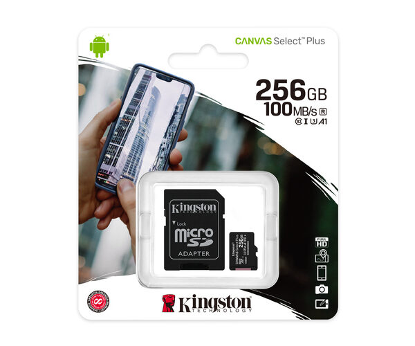 Kingston MicroSD 256GB Class10