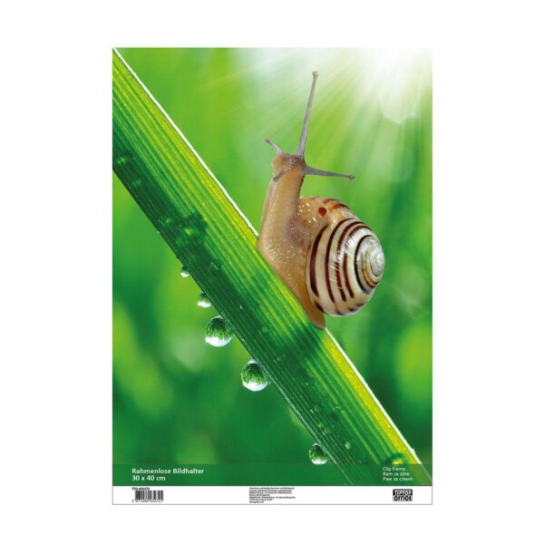 TTO Ram Clip-Fix 30x40cm