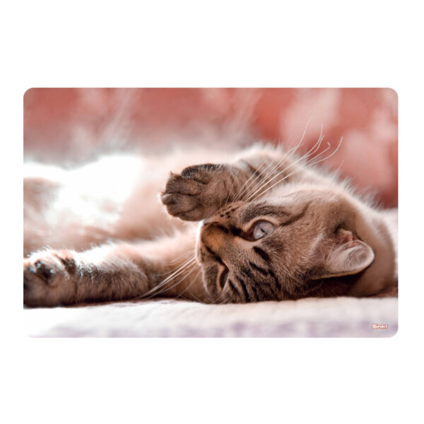 TTS Stona mapa 60x40 Little Cat