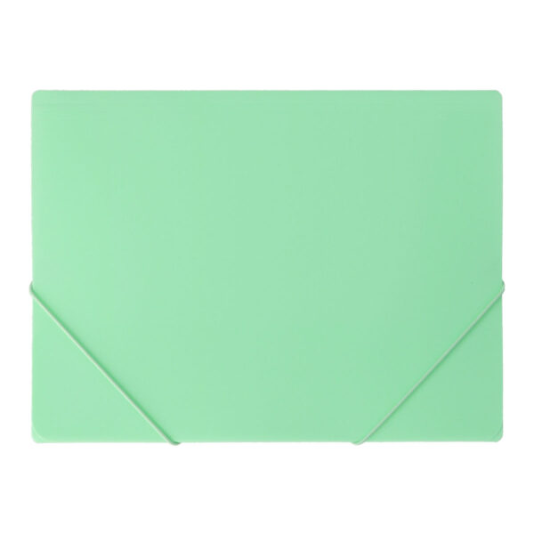 TTO Fascikla PVC A4 2gum PastZe