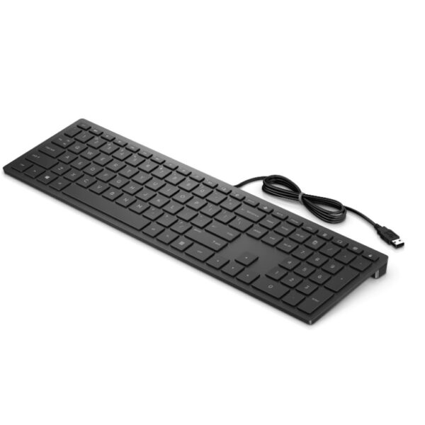 HP PAV Wired Keyboard 300 ADR