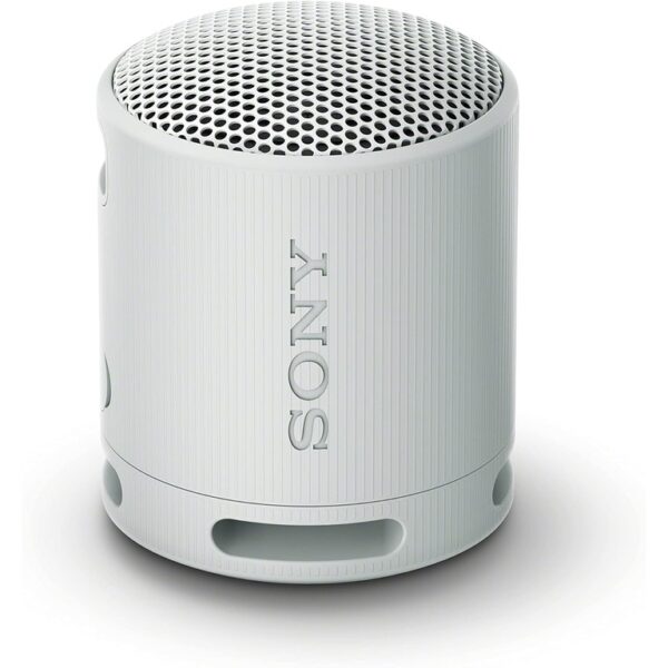 Sony BT zvučnik XB100svijetlosiva